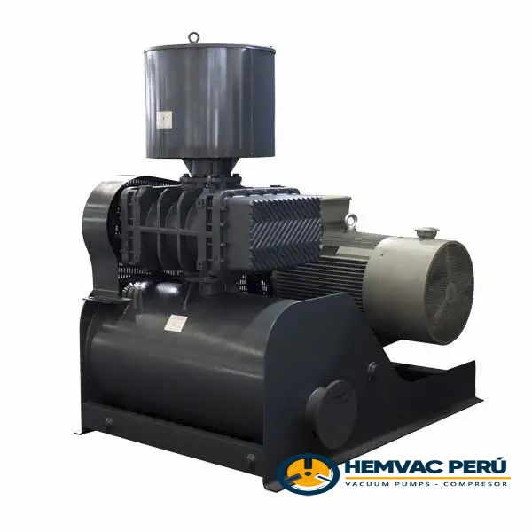 Blower System,NASH Robuschi,Spencer,Tuthill,Kaeser,Leybold,Repicky Hemvac