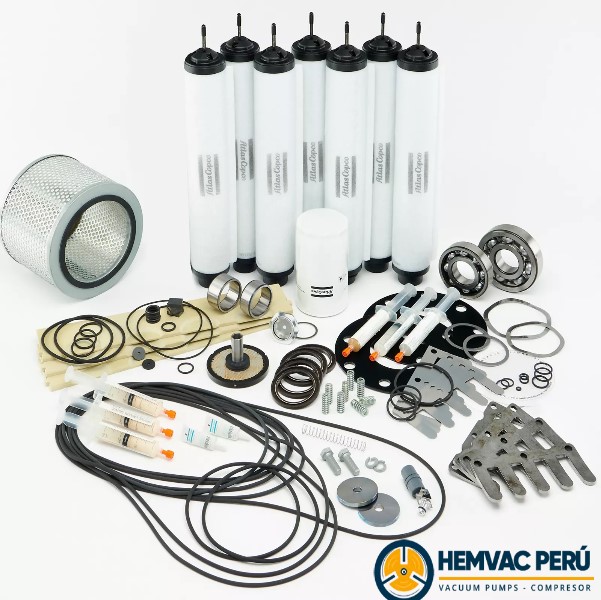 Repuestos para bombas de vacío, Repuestos Elmo-Rietschle, Gardner Denver Kits completos para mantenimiento de bombas de vacío - Imagen 1